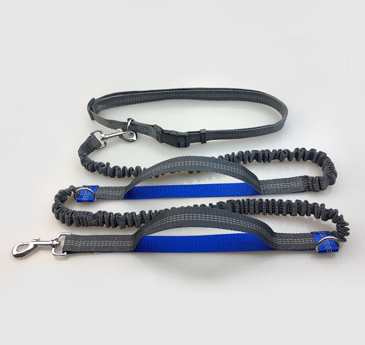 Amazon direct pet supplies multi-function running reflective pull dog leash double elastic dog leash traction Royal blue