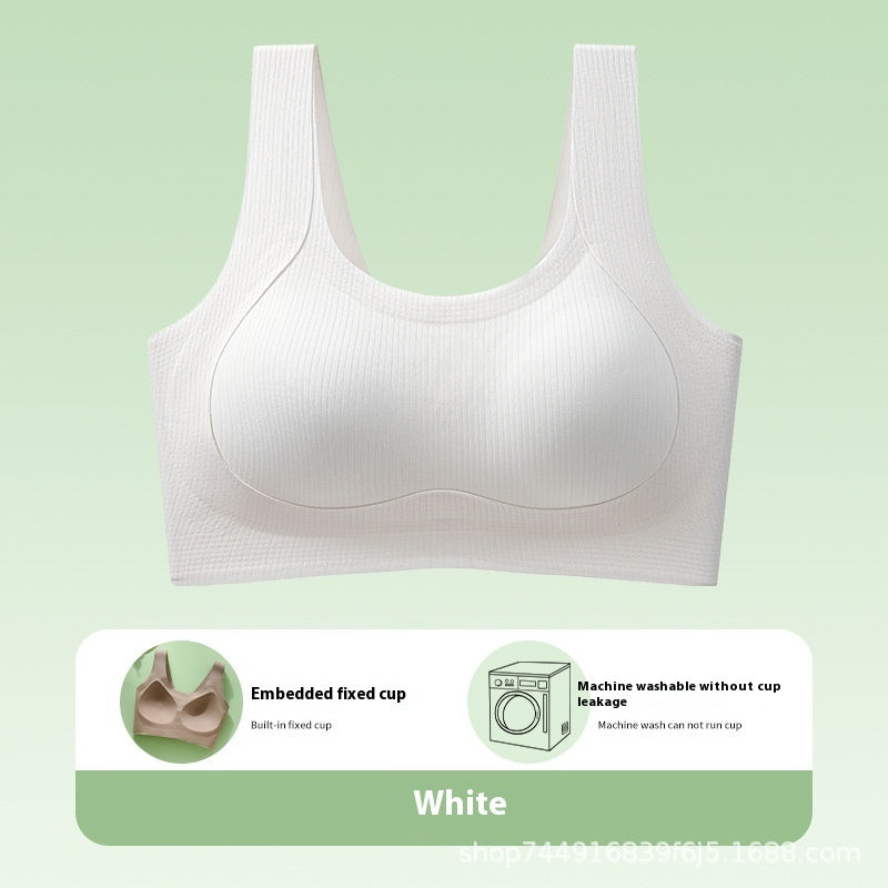 Fixed Cup Seamless Underwear For Women White