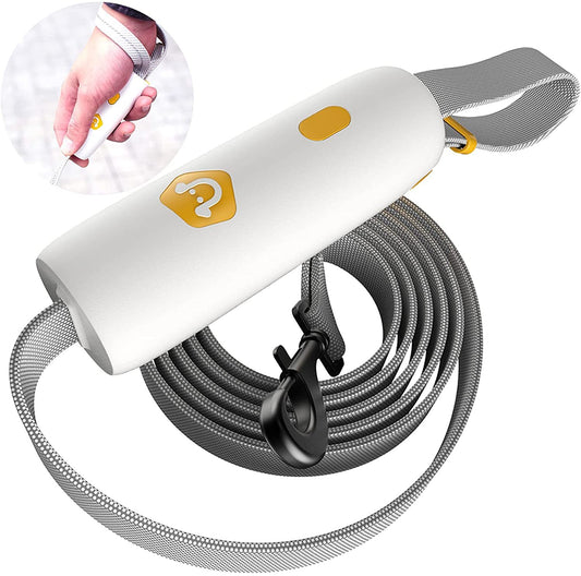 Pet Supplies New Dog Elastic Leash Small And Medium-sized