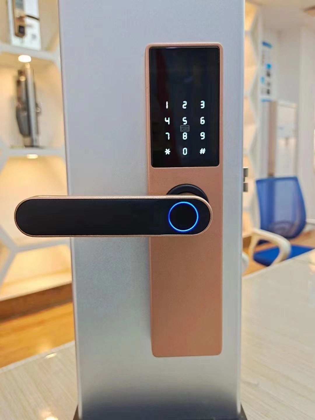 Wooden Door Fingerprint Lock Graffiti Pass Rose gold