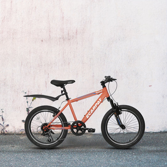 A20215 Kids Bicycle 20 Inch Kids Montain Bike Gear 7 Speed Bike For Boys And Girls
