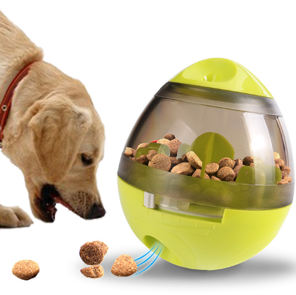 Pet Drinking & Feeding