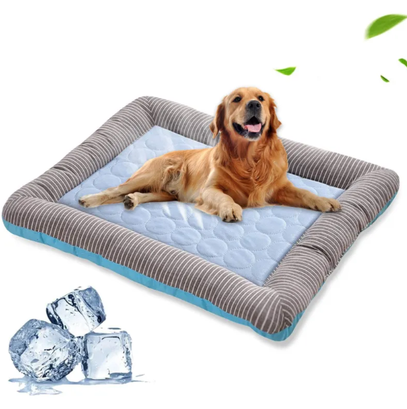 Pet Bedding