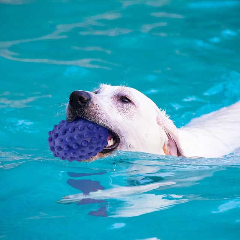 Pet Toy Rubber Bump Rugby Vocal Resistance Bite Wear