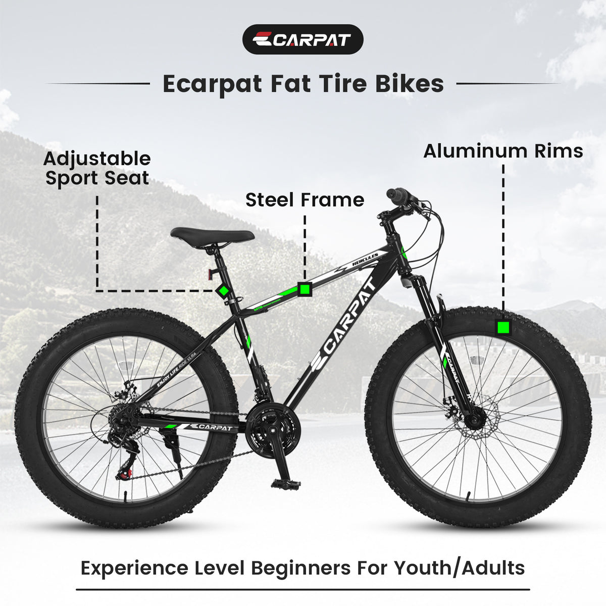 Bicycle S26109-BLACK-GREEN