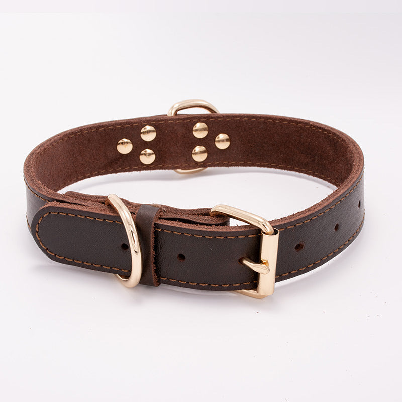 Dog collar Brown