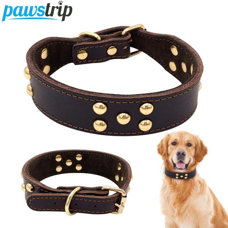 Dog collar