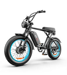 C91-20 Inch Dual-drive High-speed Electric Bike