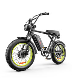 C91-20 Inch Dual-drive High-speed Electric Bike