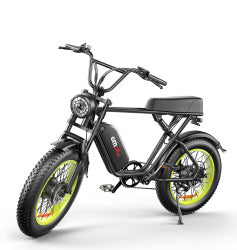C91-20 Inch Dual-drive High-speed Electric Bike