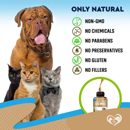 Cats And Dogs Natural Worm Treatment With Probiotic Liquid Herbal Medicine Prevention Medication Supplement Drops For Kitten And Puppies For Daily Use With Pet Food