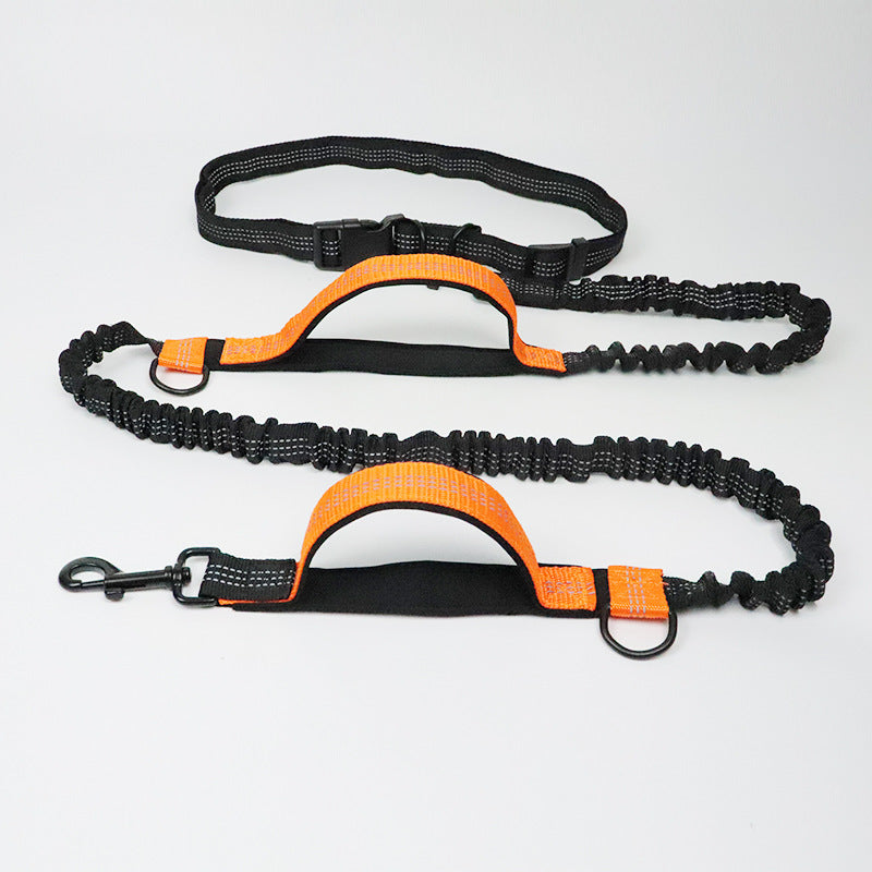 Amazon direct pet supplies multi-function running reflective pull dog leash double elastic dog leash traction Orange Foam