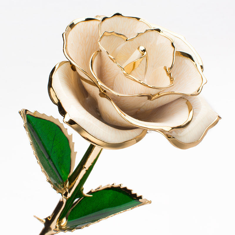 24K Gold-plated Rose Flower With A Gift Box Valentine's Day Gift White