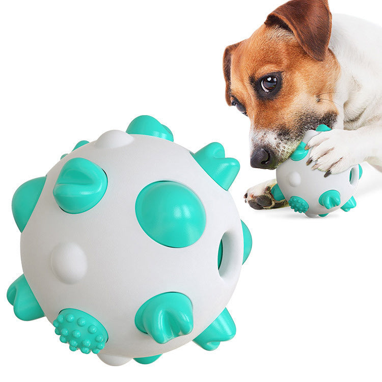 Spherical dog toy molar rod Blue