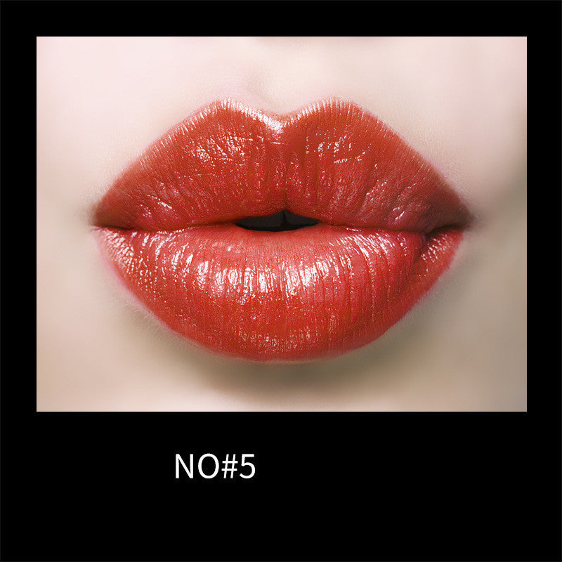 Gentle Moisturizing And Charming Lip Makeup Lipstick NO5 rotten tomato color