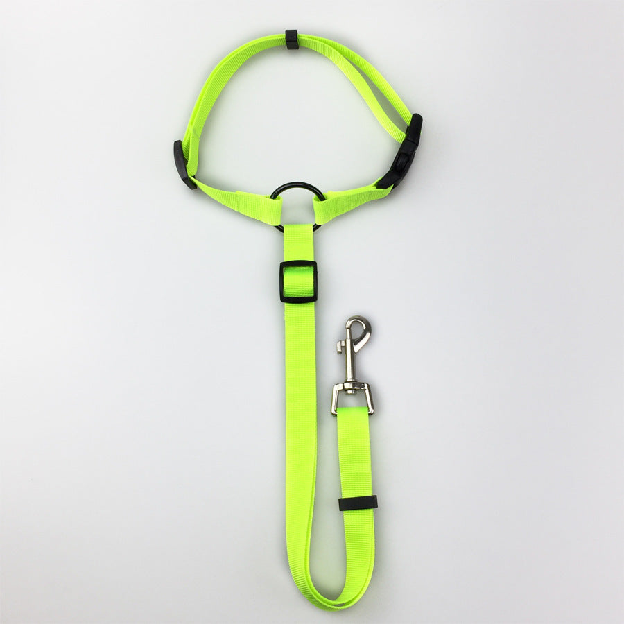 Pet safety leash Green