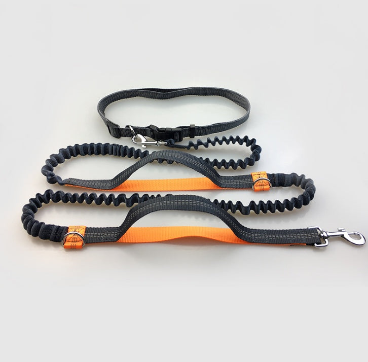 Amazon direct pet supplies multi-function running reflective pull dog leash double elastic dog leash traction Orange