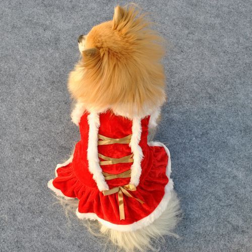 Pet Clothing New Year And Christmas Classic Red Skirt Red