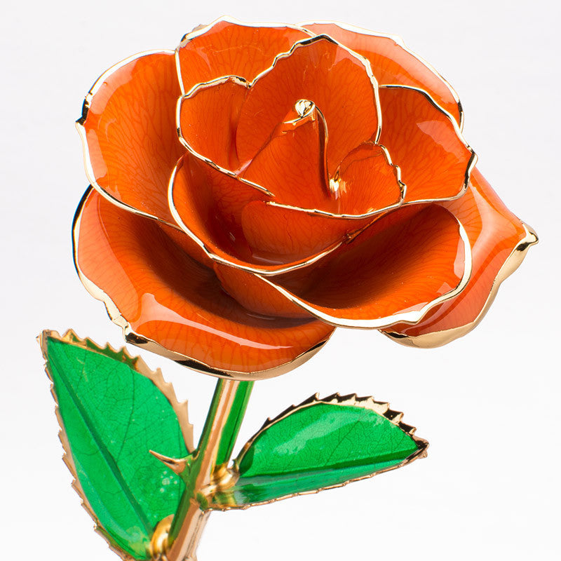 24K Gold-plated Rose Flower With A Gift Box Valentine's Day Gift Orange