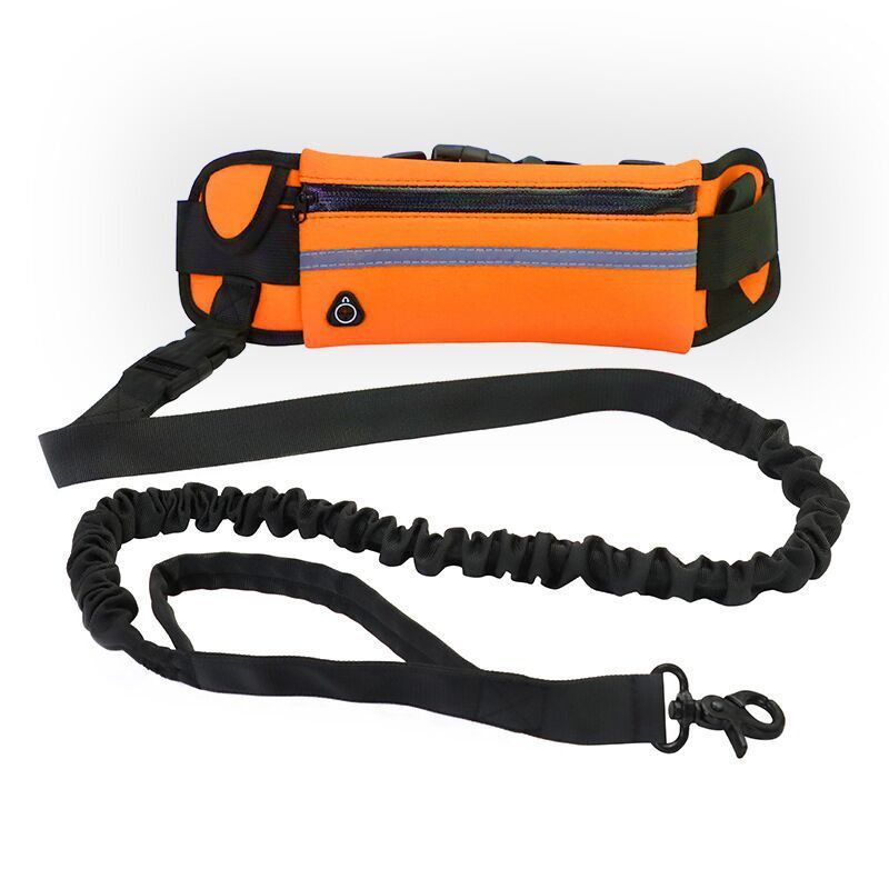 Pet Purse Leash For Dog Walking Orange