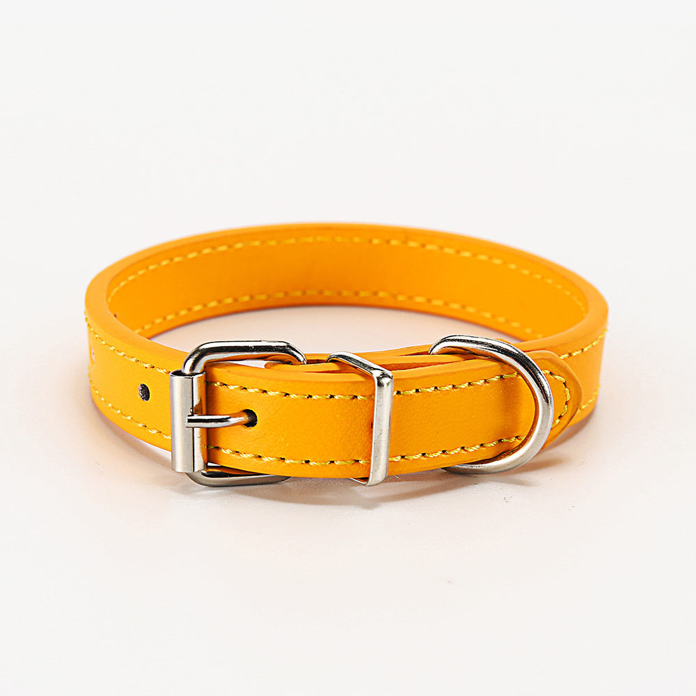 Pet supplies collar gold