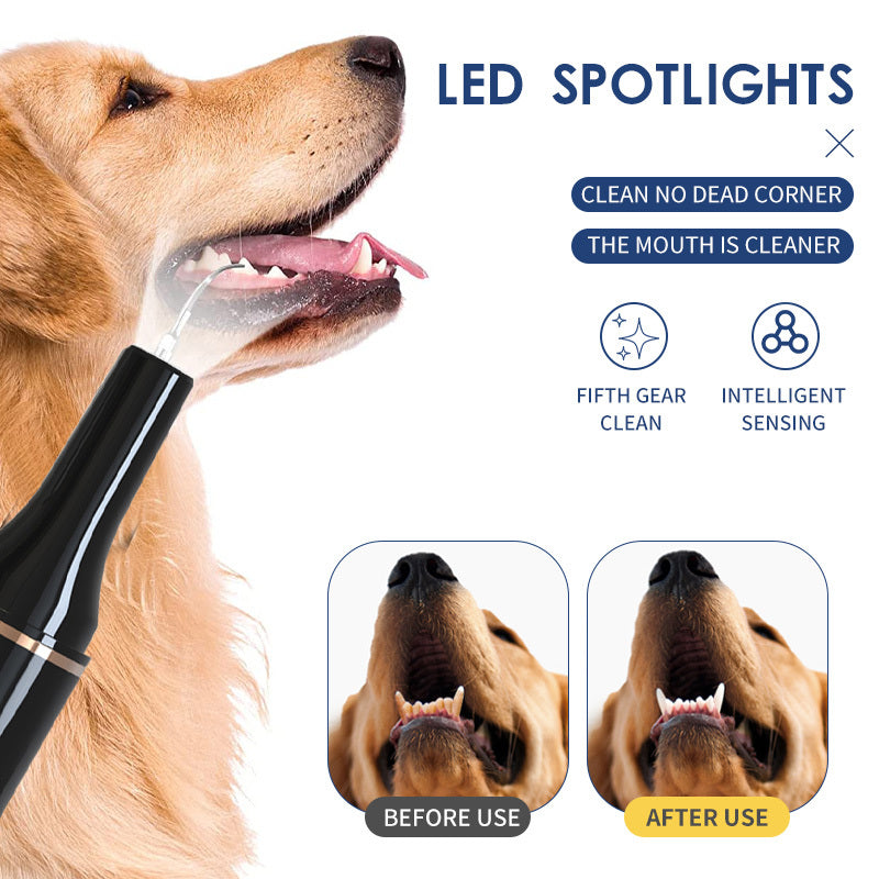 Ultrasonic Pet Teeth Cleaning And Cleaning Device
