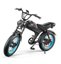 C93- Dual-drive High-speed Electric Bike