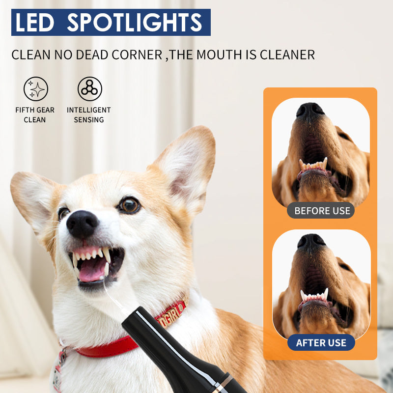 Ultrasonic Pet Teeth Cleaning And Cleaning Device