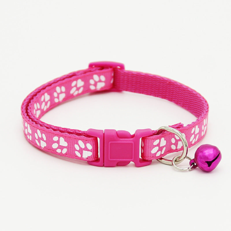 The pet cat wears a bell collar Rose M