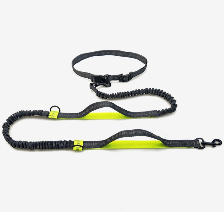Amazon direct pet supplies multi-function running reflective pull dog leash double elastic dog leash traction Black fluorescent green