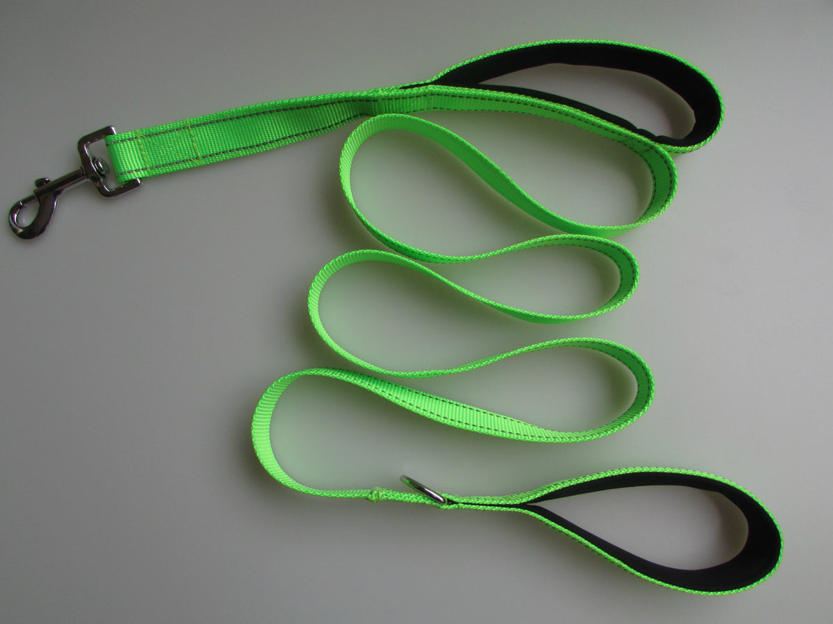 Pet Double Handle Pull Leash Green