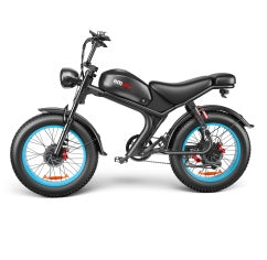 C93- Dual-drive High-speed Electric Bike B