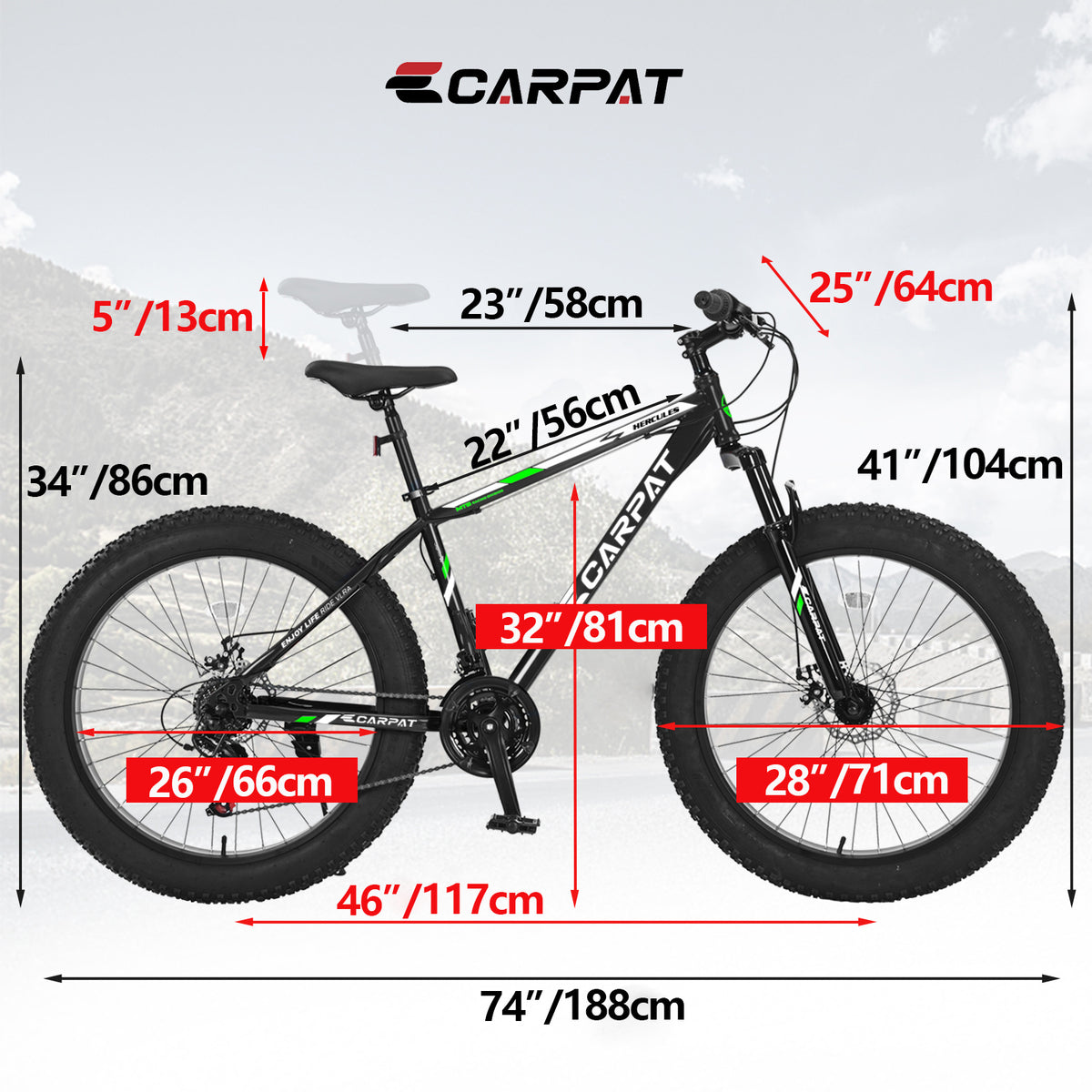 Bicycle S26109-BLACK-GREEN
