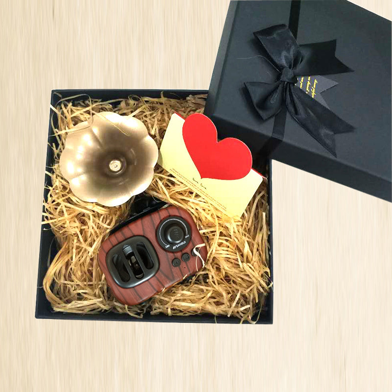 Gramophone small speaker Brown gift box