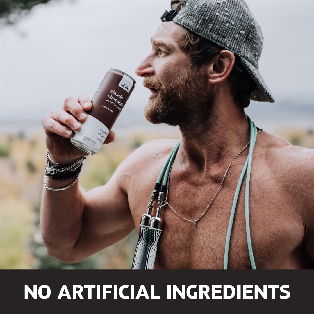 Slate Milk - High Protein Milk Shake - French Vanilla - Lactose Free, 20g Protein, 1g Sugar, 100 Calories, 1g Net Carbs, No Added Sugar - Natural, Breakfast Boost, Post Workout - 11 fl oz, 12 Cans