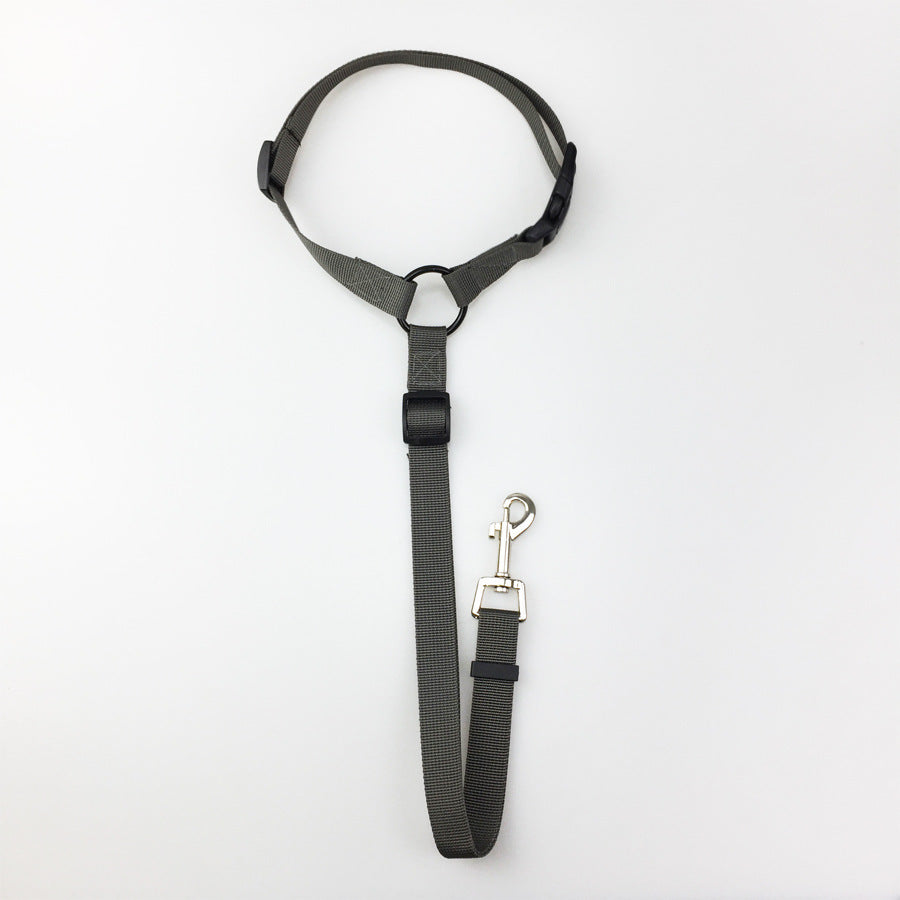 Pet safety leash Grey