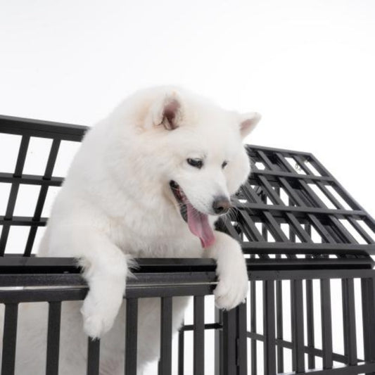 Heavy Duty Metal Large Dog Cage With Wheels