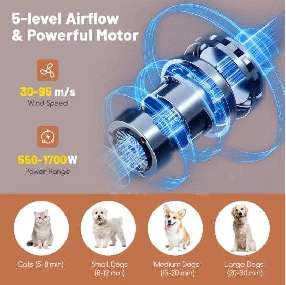 1 Pc Dog Cat Hair Blower With Negative Ion Function And Adjustable Temperature