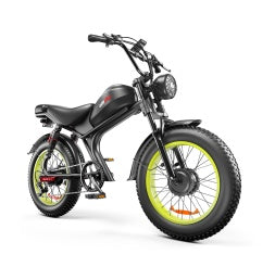 C93- Dual-drive High-speed Electric Bike