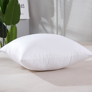 Throw Pillow Sofa Cushion Large Pillow Core 2 style