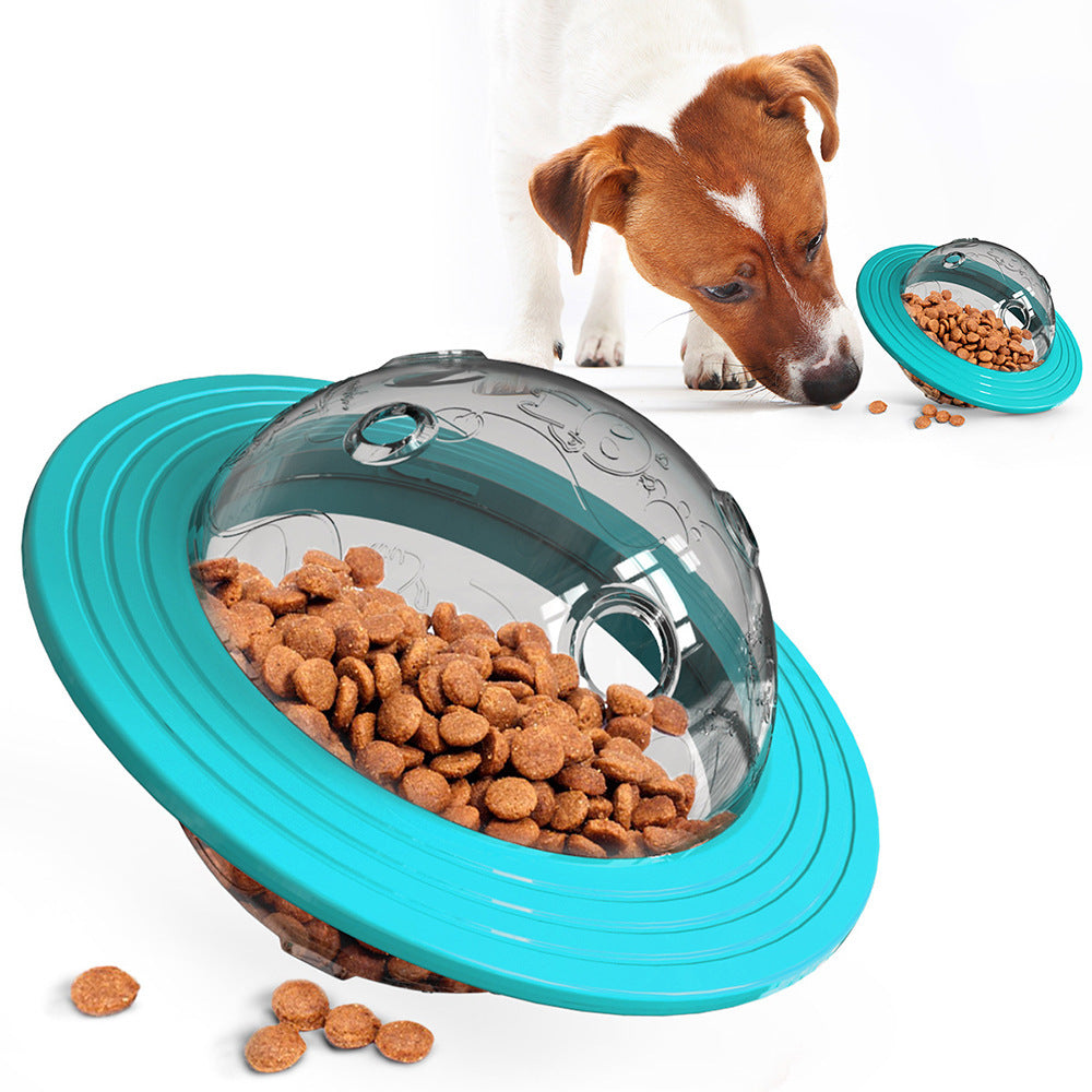 Missing food educational toys Lake Blue