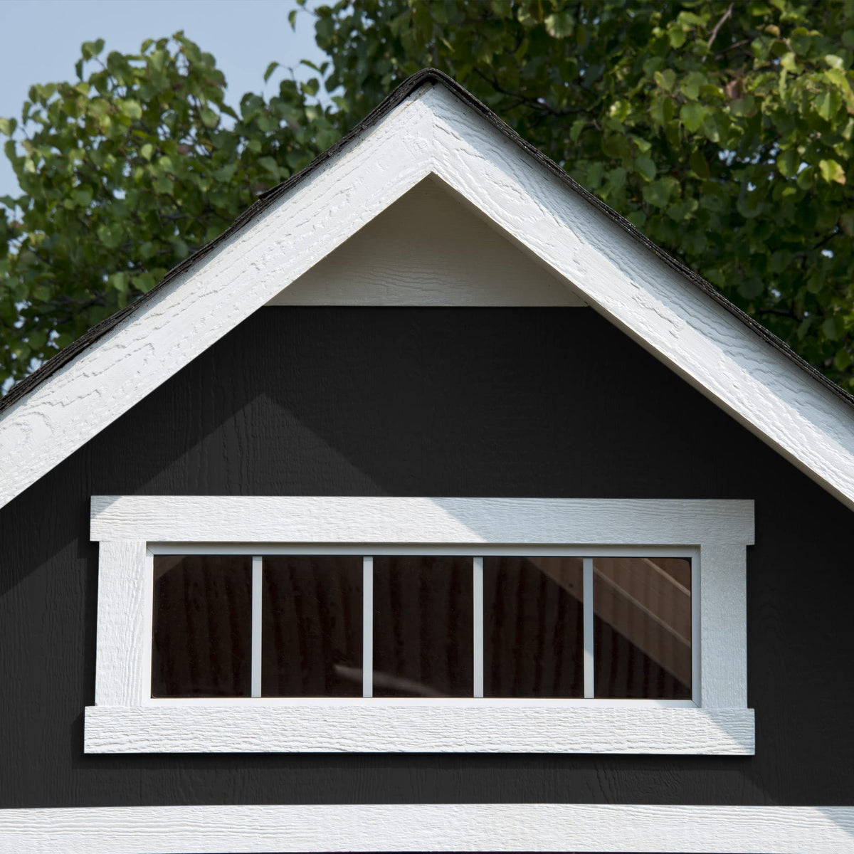 Handy Home Products Trident 8x12 Do-it-Yourself Wooden Storage Shed- does not include floor kit, paint, or roofing shingles (Amazon Exclusive)