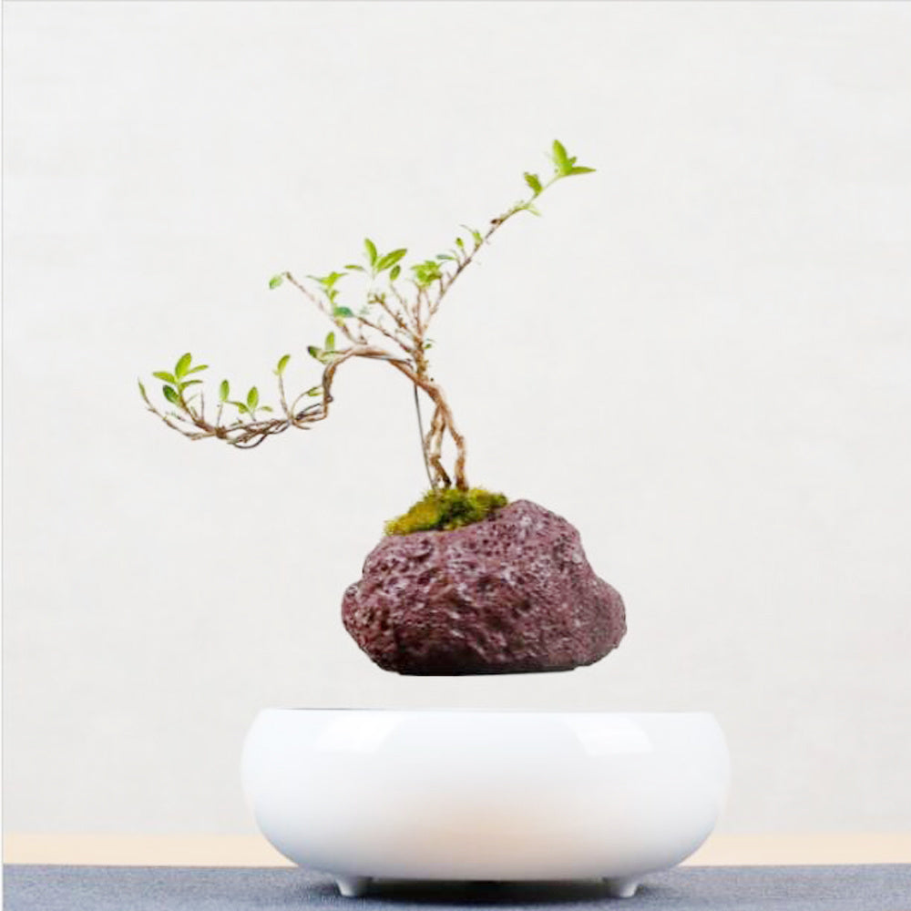 Magnetic Levitation Potted Plants Volcanic stone