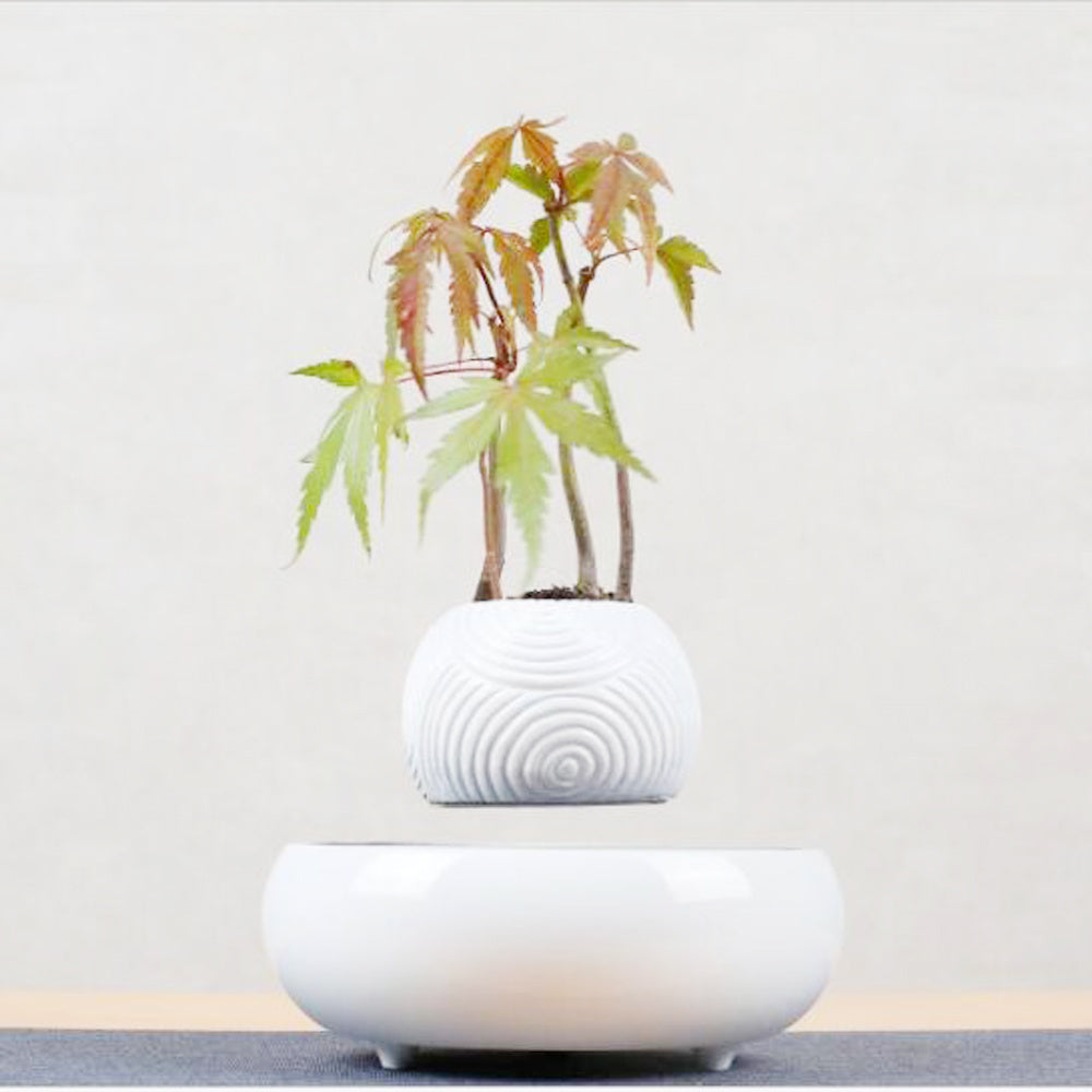 Magnetic Levitation Potted Plants Stripes