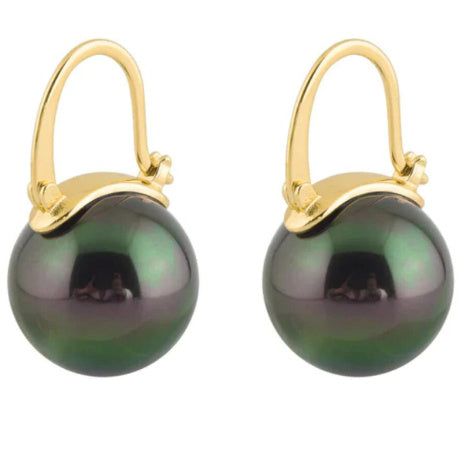 Earrings Gold Plated Ear Clips Earrings