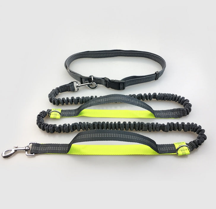Amazon direct pet supplies multi-function running reflective pull dog leash double elastic dog leash traction Fluorescent green