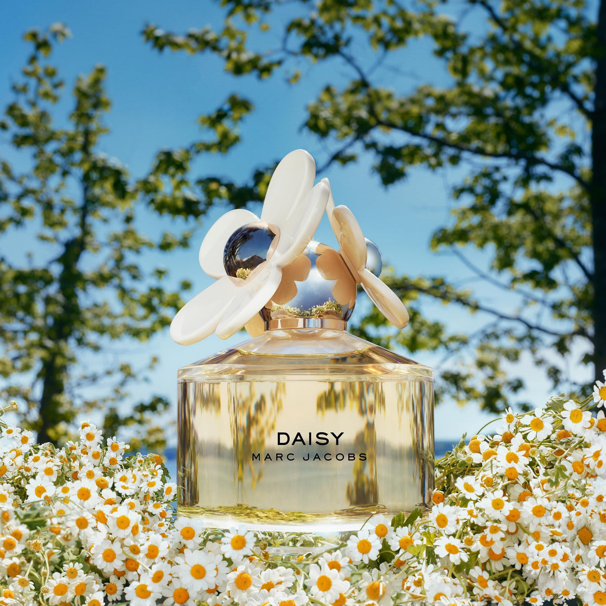 Marc Jacobs Daisy Eau de Toilette 1.6 fl oz