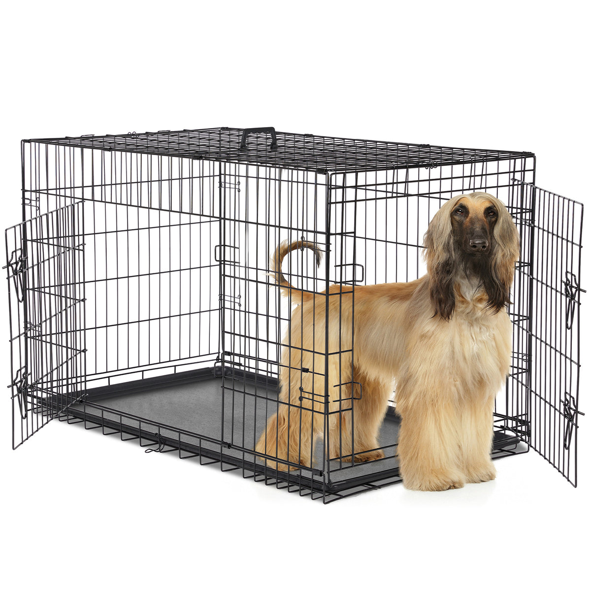A Dog Cage With Two Doors 48double door