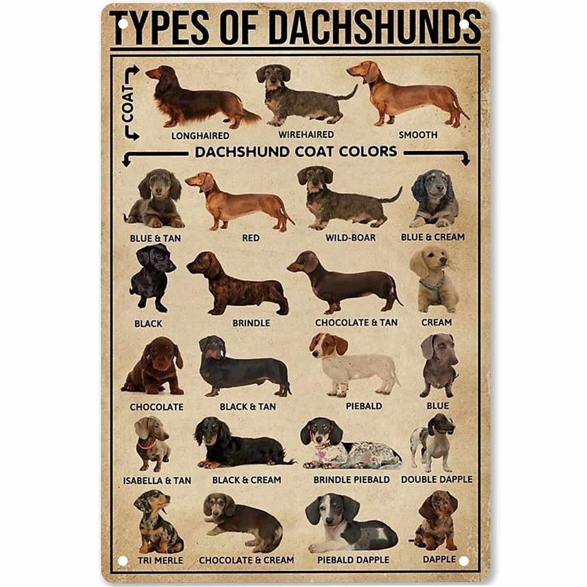 Pet Lovers Wall Decoration Sausage Dog Sausage Dog 20cm X 30cm