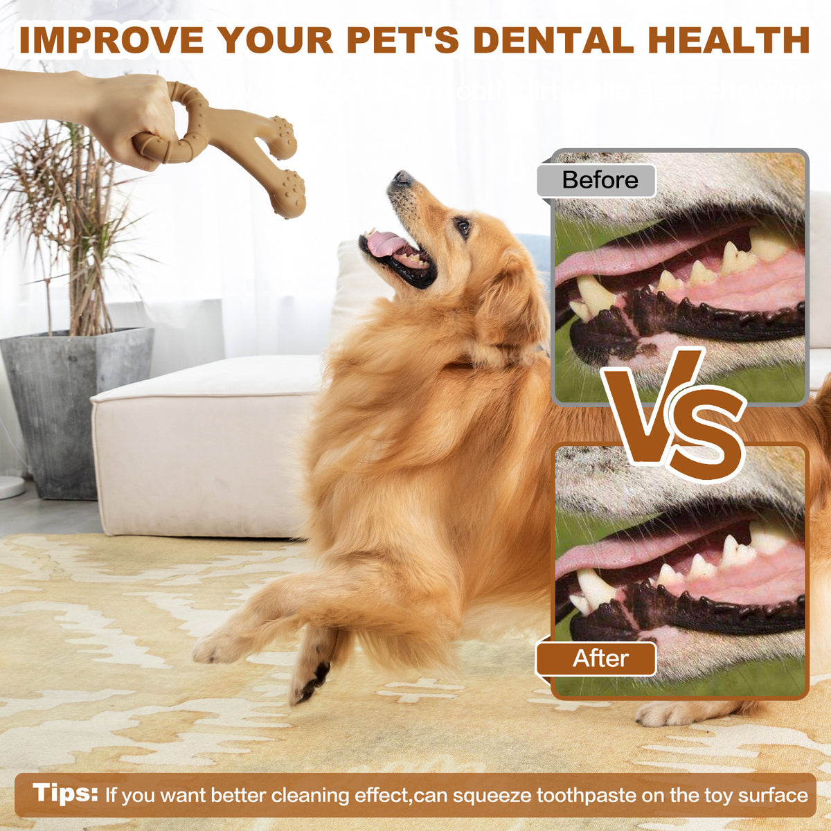 Cross-Border Popular Dog Interactive Toy Pet Chewing Dog Bite Artificial Nylon Toy Molar Dog Bone Ring